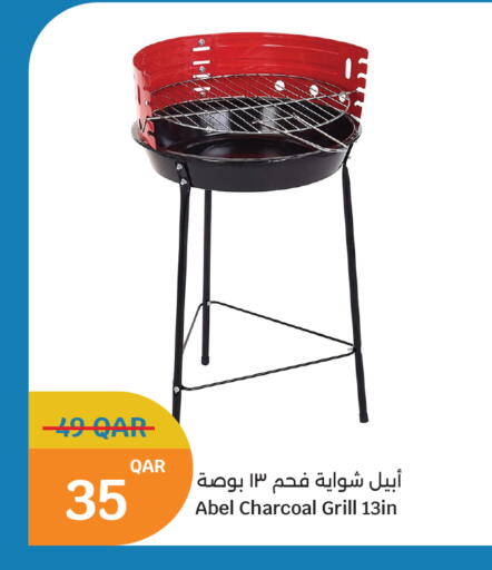 Abel Charcoal Grill 13in
